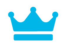 contentKing_icon_custom